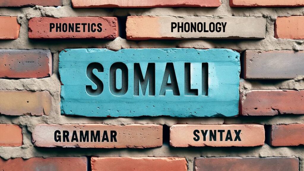 somali language structure